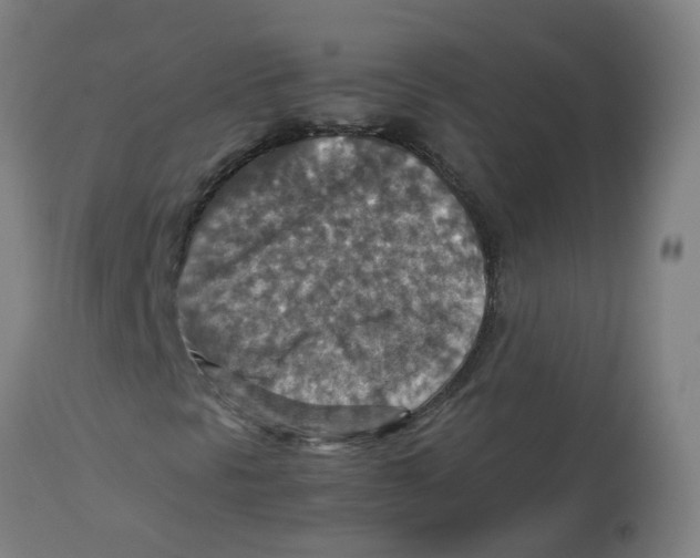 X0000112771297200909171303