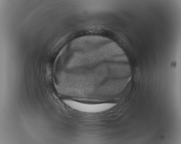 X0000112771298200909171303