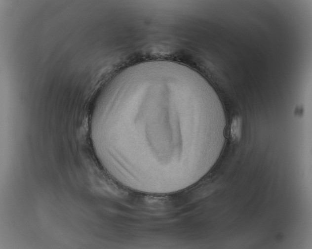 X0000112771299200909171303