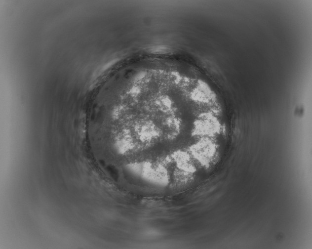 X0000112771301200909171303