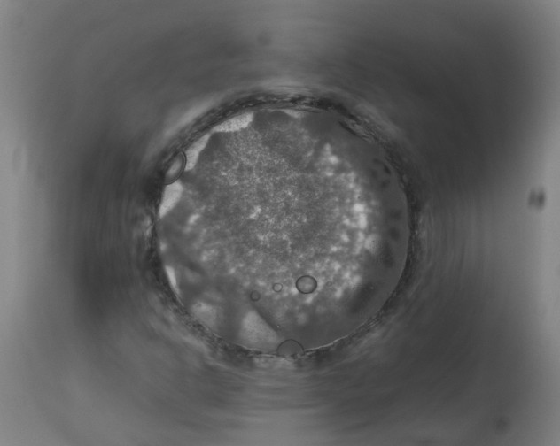 X0000112771302200909171303