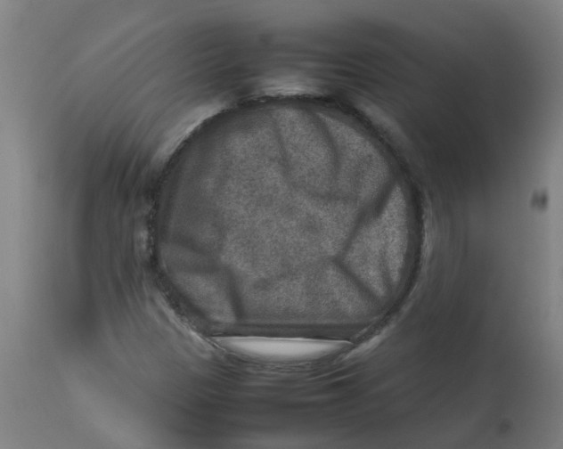 X0000112771305200909171303