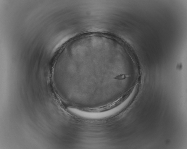 X0000112771306200909171303