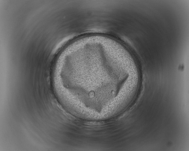 X0000112771307200909171303