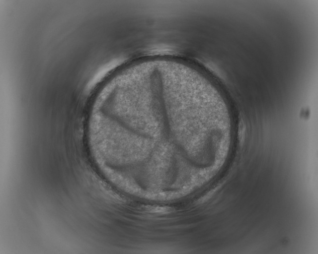 X0000112771309200909171303