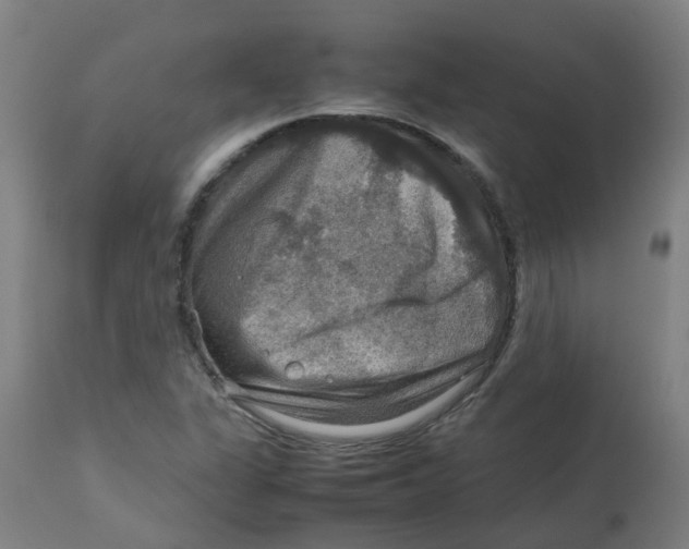 X0000112771311200909171303