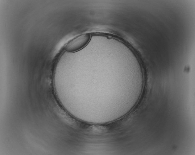 X0000112771312200909171303