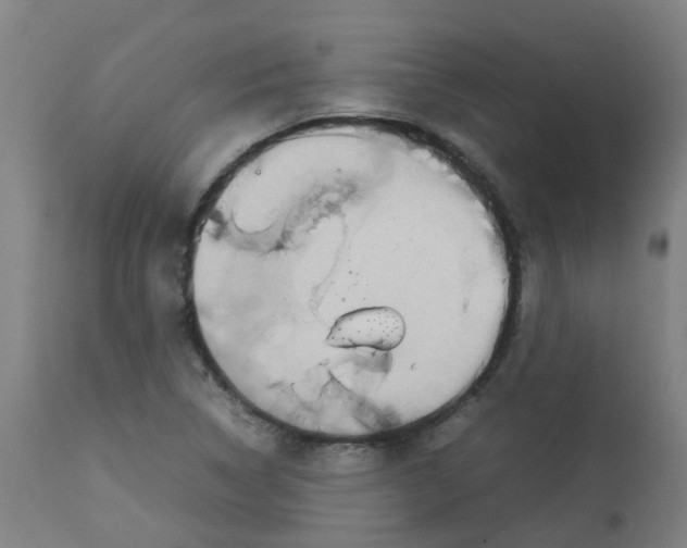 X0000112771314200909171303