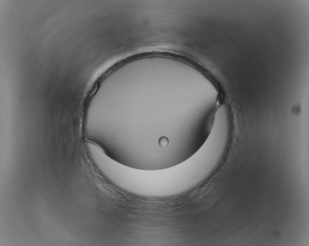 X0000112771316200909171303