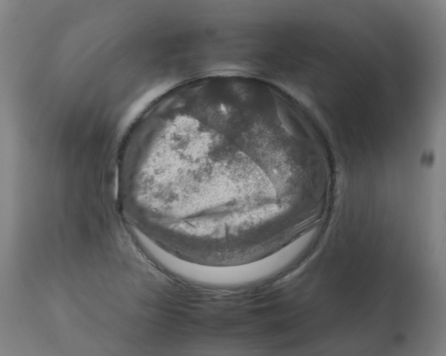 X0000112771317200909171303