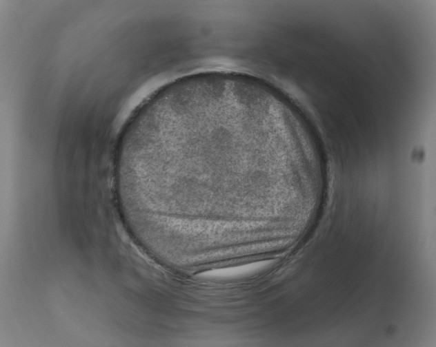 X0000112771318200909171303