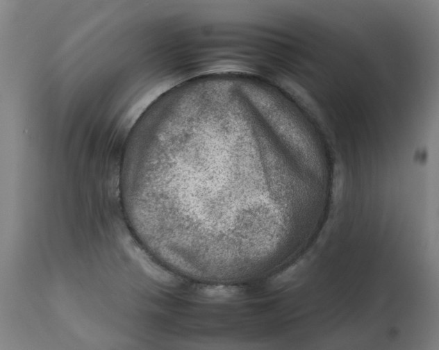 X0000112771321200909171303