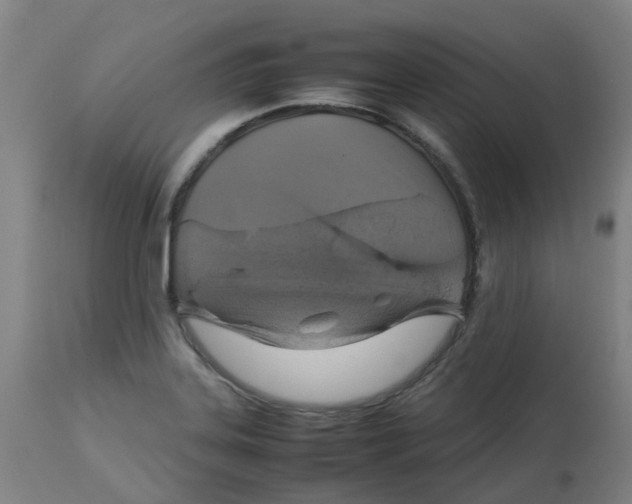 X0000112771323200909171303