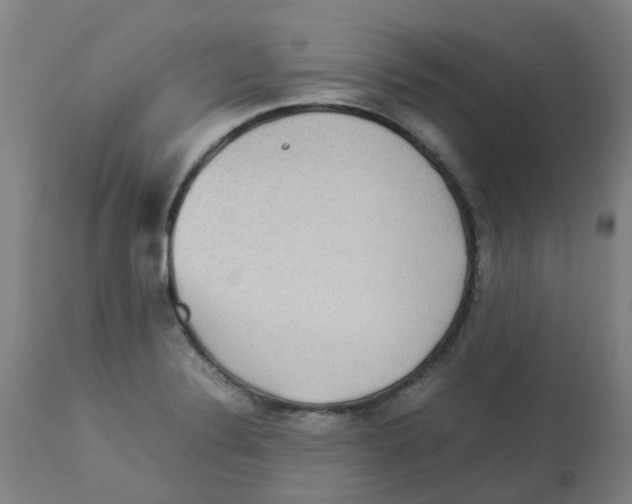 X0000112771324200909171303