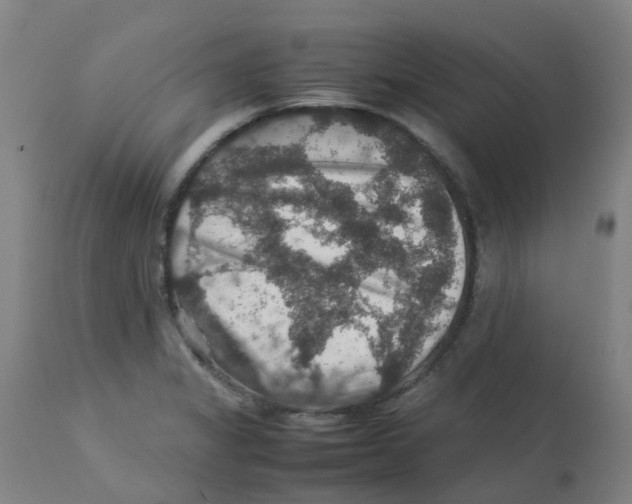 X0000112771325200909171304