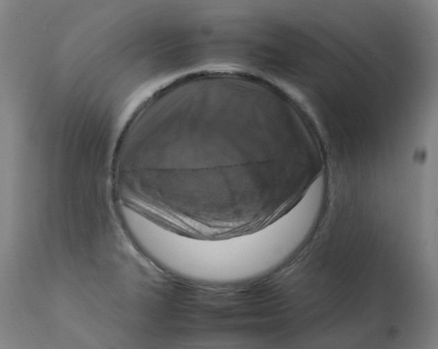 X0000112771327200909171304