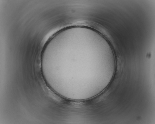 X0000112771328200909171304