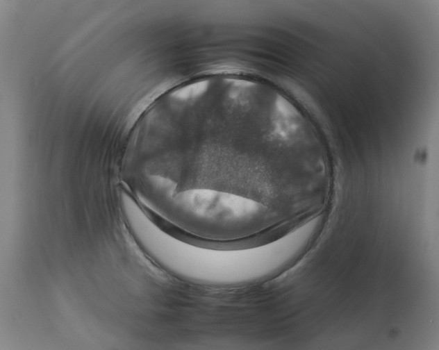 X0000112771329200909171304