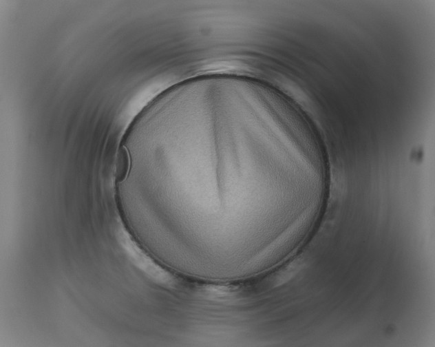 X0000112771330200909171304