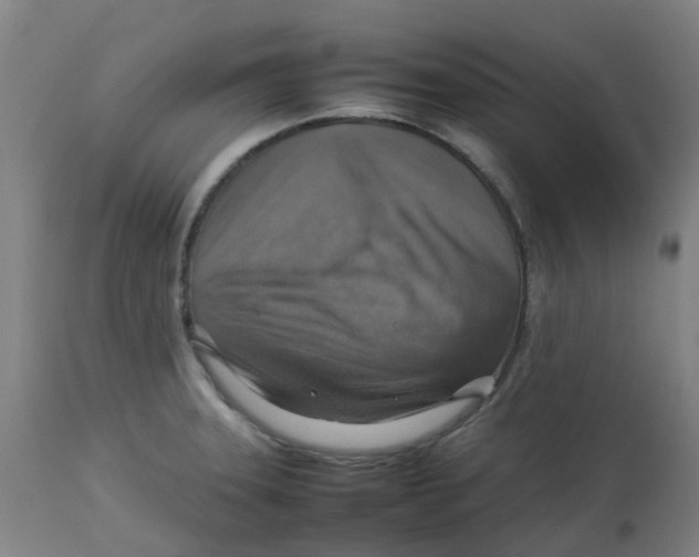 X0000112771331200909171304