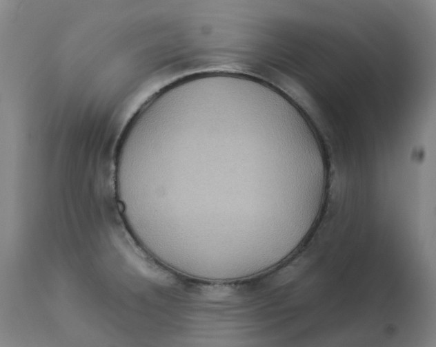 X0000112771332200909171304