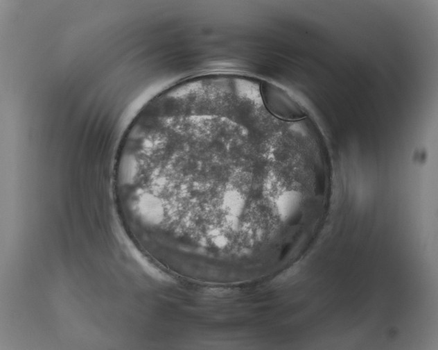 X0000112771333200909171304