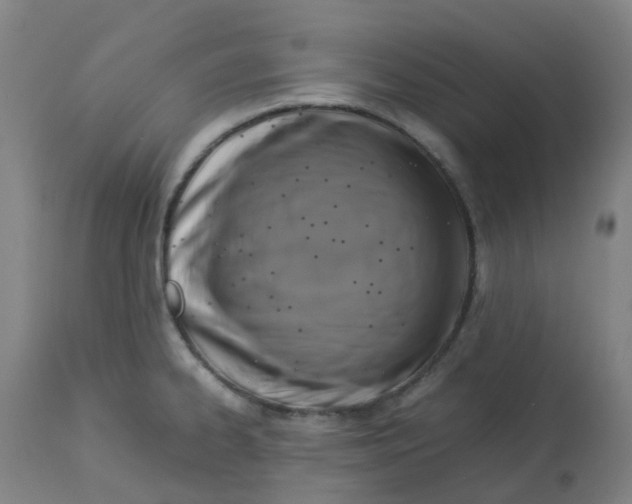 X0000112771334200909171304