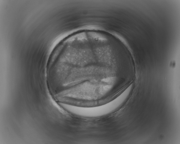 X0000112771335200909171304