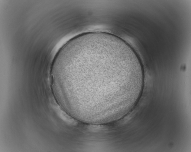 X0000112771336200909171304