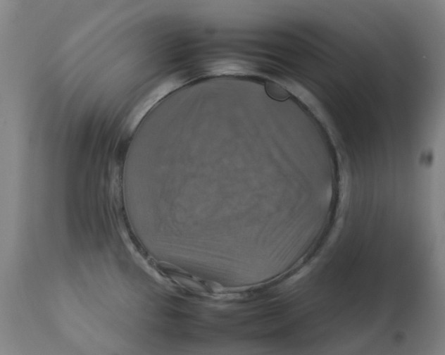 X0000112771337200909171304