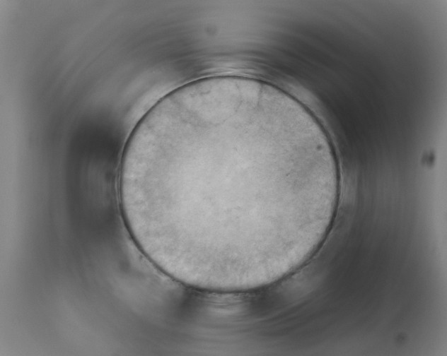 X0000112771338200909171304