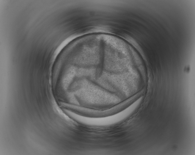 X0000112771339200909171304