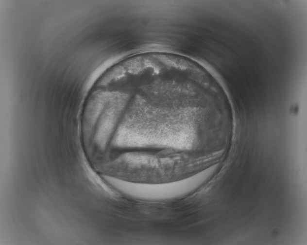 X0000112771341200909171304