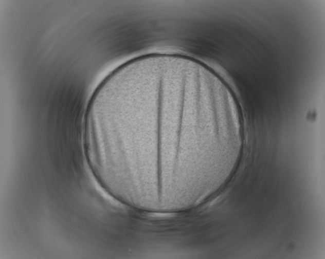 X0000112771343200909171304