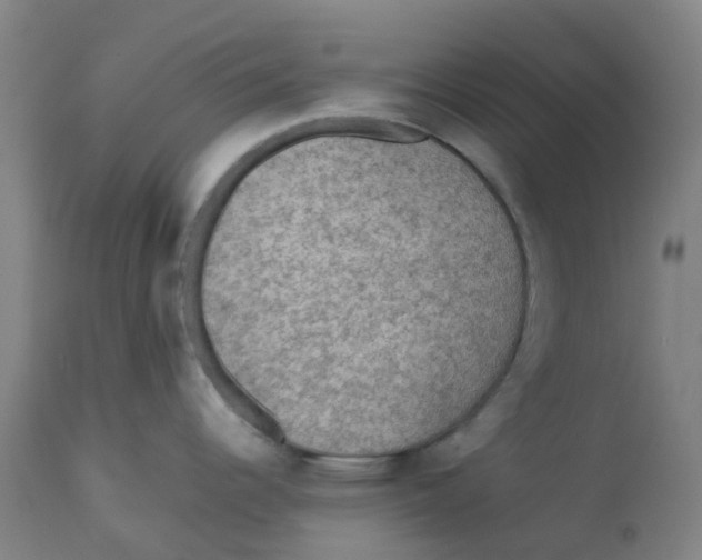 X0000112771344200909171304