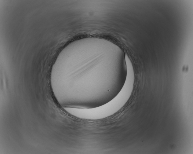 X0000112771345200909171303