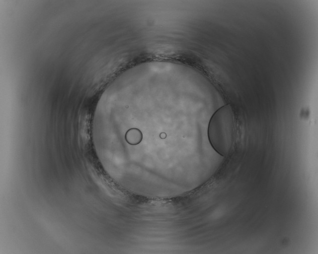 X0000112771346200909171303