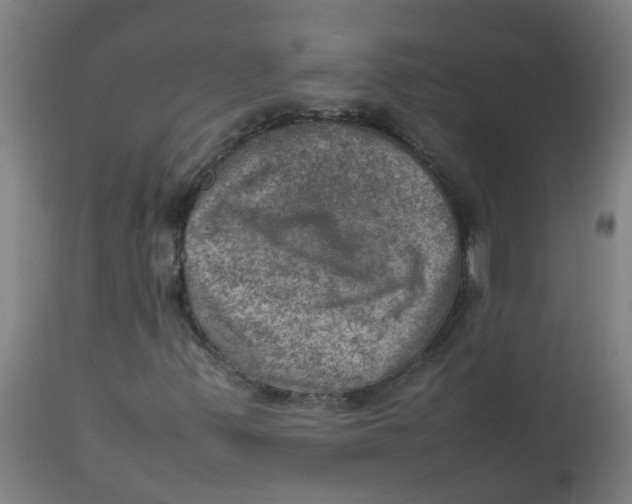 X0000112771347200909171303