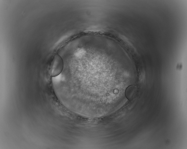 X0000112771350200909171303