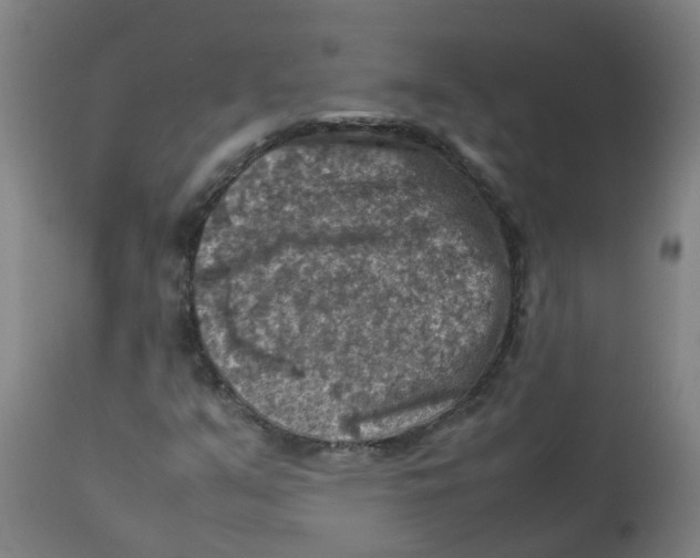 X0000112771351200909171303