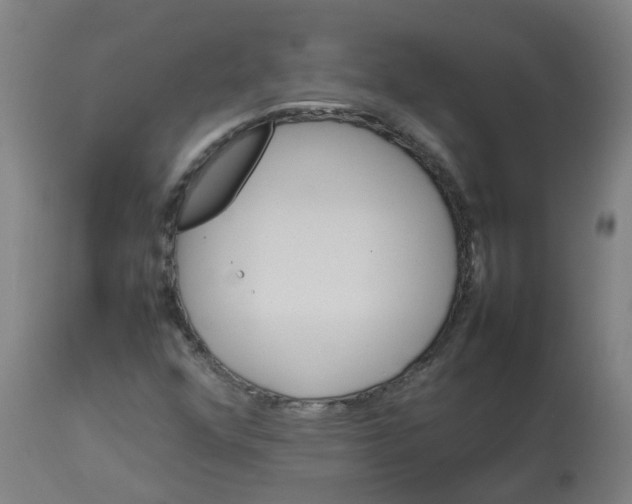 X0000112771352200909171303