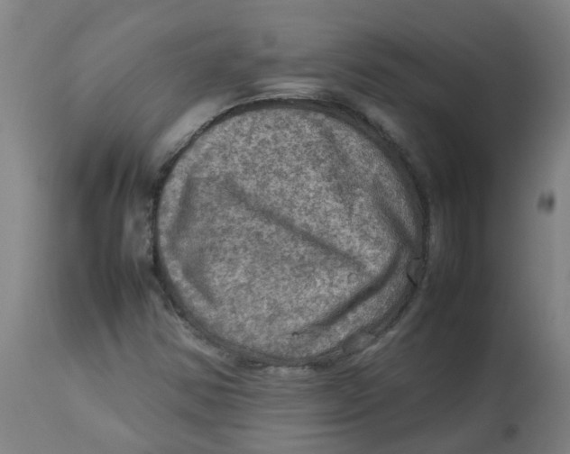 X0000112771354200909171303