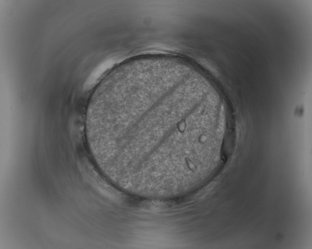 X0000112771355200909171303