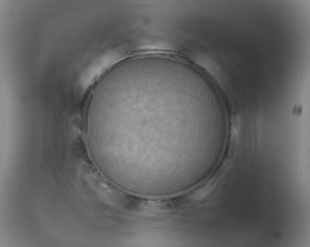 X0000112771357200909171303