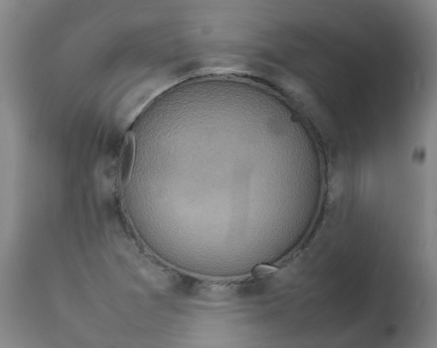 X0000112771361200909171303