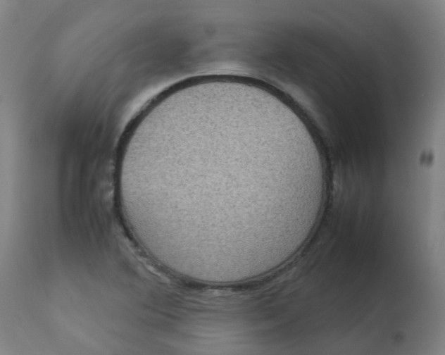 X0000112771364200909171303