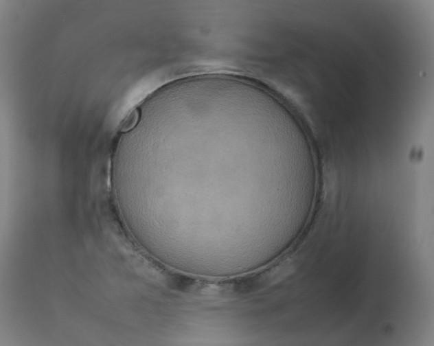 X0000112771365200909171303