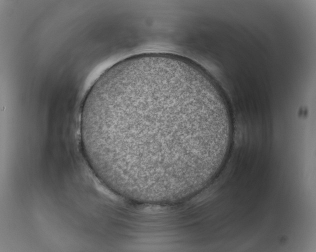 X0000112771366200909171303