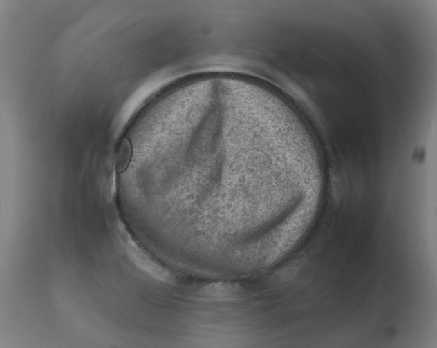 X0000112771368200909171303