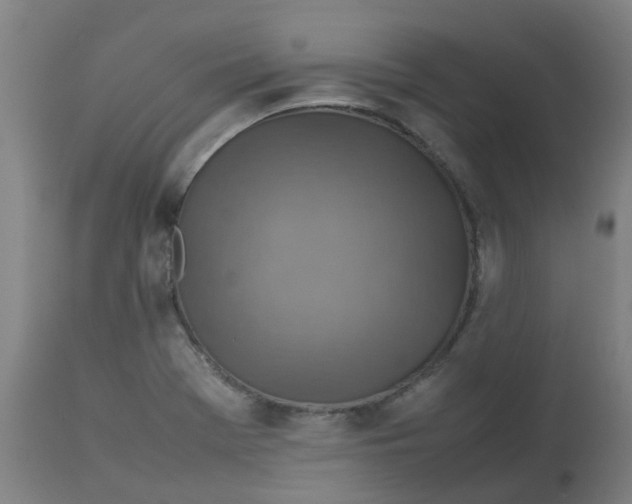 X0000112771369200909171303